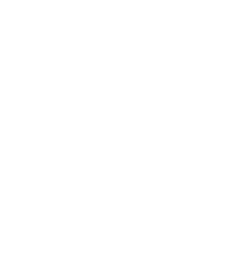 Logo bjornftw